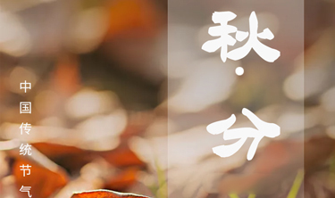 必发365(中国)兴趣网投天天必发