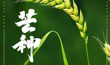 必发365(中国)兴趣网投天天必发